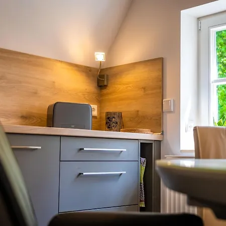 Villa Marie Ferienwohnungen Altenberg Eksteriør billede