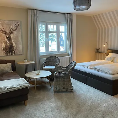 Villa Marie Ferienwohnungen Altenberg Eksteriør billede