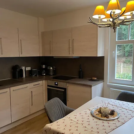 Villa Marie Ferienwohnungen Altenberg Eksteriør billede
