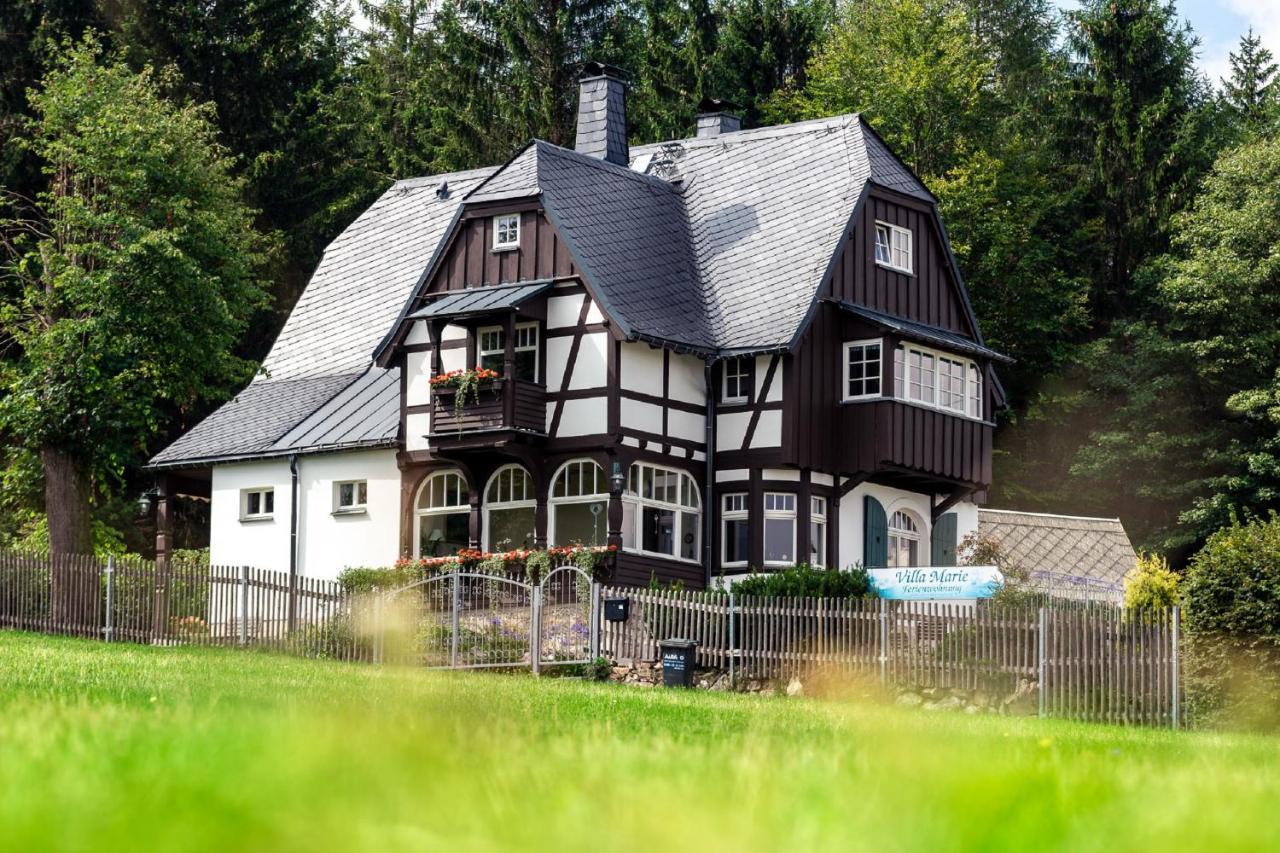 Marie Apartment Altenberg (Erzgebirge)