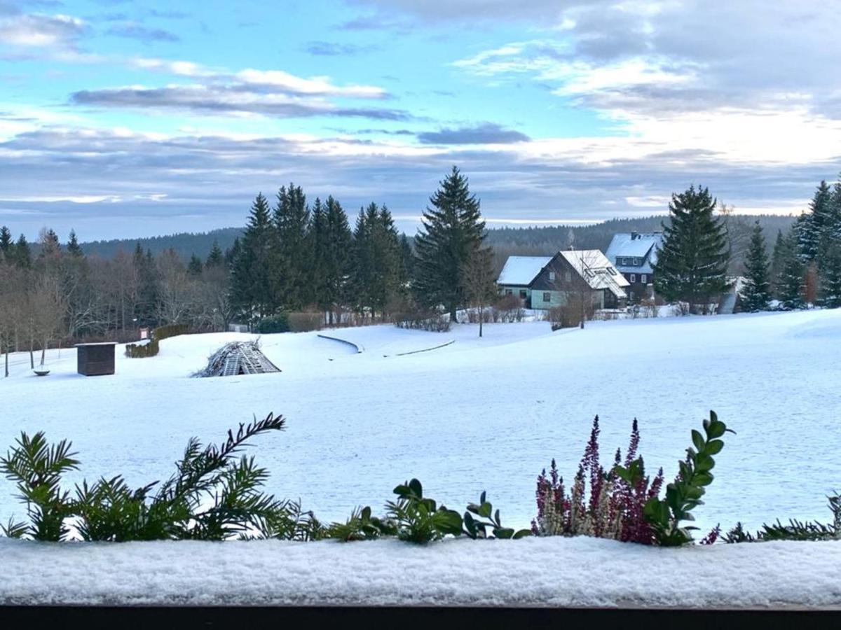 Apartment Marie Altenberg (Erzgebirge)